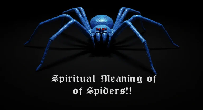 Spider Spiritual Meaning - Dream Interpretation & Symbolism!